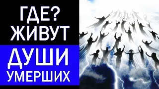 Где живут души умерших? Куда уходит душа после смерти? Реальные истории. Реинкарнация.