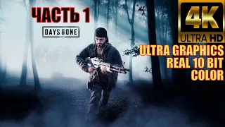 Days Gone жизнь после на pc прохождение без комментариев 1