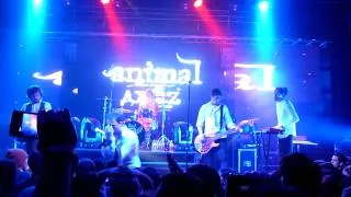Animal Джаz - Паук (live Хабаровск 14.04.13)