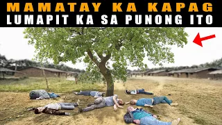 Pinakadelikadong Puno ng KAMANDAG, mamatay ka pag lumapit ka | Most Dangerous Trees in the World