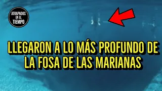 Llegaron a lo más profundo de la fosa de Las Marianas... y encontraron esto.