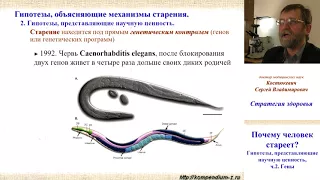 3.2 Почему человек стареет?  Наука 2.  Гены