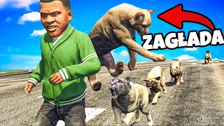 ❄️ KOTY PRZEJĘŁY ŚWIAT!? ZAGŁADA GTA 5