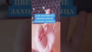 Никогда не делайте этих вещей! Советы гадалки