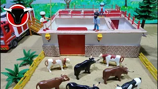 Apartado y embarque de toros