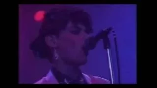 Do Re Mi (live performance from the Live Aid concert 1985)