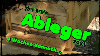 Der erste Ableger 2021🐝 4 Wochen dannach / Bienen / Imkern