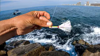 I TOSSED This Jig At The JETTY And Caught The BIGGEST Fish!