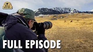 Wild America (1982) | S12 E9 'Watching Wildlife' | Full Episode | FANGS
