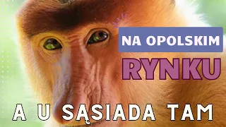 A u sąsiada tam. Na Opolskim rynku 2024 - RAV COVER