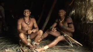 Yaokwa, the Enawene Nawe people's ritual for the maintenance of social and cosmic order