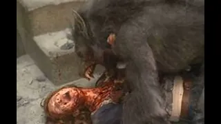Bigfoot & Dogman caught on camera compilation