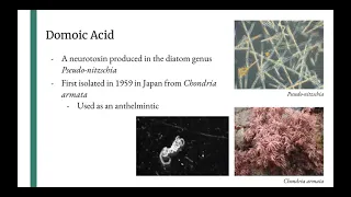 WI21 Group #23: Neurotoxins and Harmful Algal Blooms