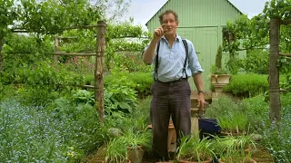 Gardeners' World Compilations 2023🍀 Episode 2