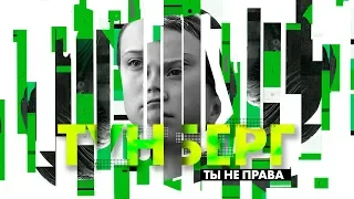 Грета Тунберг, зеленые и экотеррористы