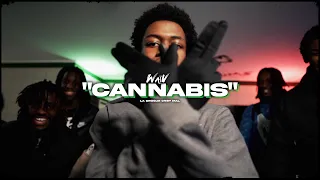 WaïV - Cannabis (Clip officiel)