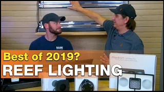 Stop the reef tank lighting confusion! THESE are our Best Saltwater Aquarium Lights for 2019!