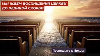 ‼️🕊️Мы ждём Восхищения Церкви до Великой Скорби. Попросите чтобы Дух Святой показал вам это. Том