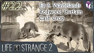 Life is Strange 2 || Episode 3. Wastelands. Part 4-5. Redwood Curtain, Cash Crop. No commentary