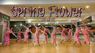 【Chinese Cultural Dance】Spring Flower 迎春花
