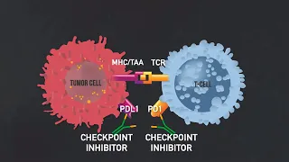 Introduction to Immunotherapy (Immunotherapy Documentary Part I)