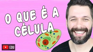 O QUE É A CÉLULA | Biologia com Samuel Cunha