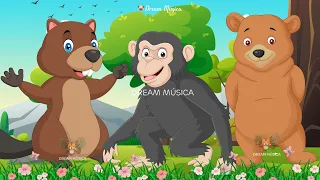 Lovely Animal Sounds In 30 Minutes: Beaver, Bear, Chimpanzee, Penguin | Soothing Music