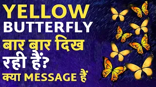 YELLOW BUTTERFLY दिख रही है? 🦋 Yellow Butterfly Meaning In Hindi ✨