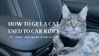How To Get a Cat Used To Car Rides