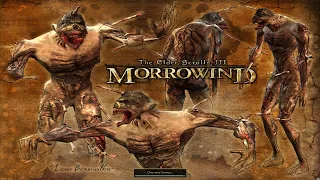 The Elder Scrolls 3: Morrowind [FullRest Repack] 4.0 - 28 - Вот и свобода