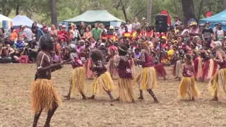 Qld/Laura - the Lockhart River Mob... by Sue