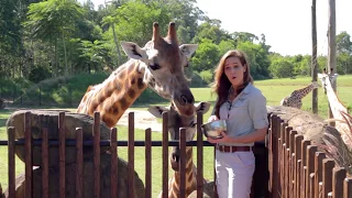 Rosie the giraffe shares her exciting news ahead of Mother's Day!