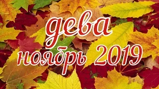 Дева Ноябрь 2019 таро прогноз.расклад таро на колоде 78 дверей.