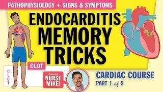 Endocarditis Pathophysiology, signs and symptoms for nursing students   NCLEX review