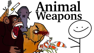 10 Gnarliest Animal Weapons