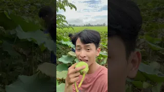 Cùng Nhọn Ra Đồng Hái Gương Sen Ăn Nha #shorts #tiktok #phucnhon #phucnhonvlog