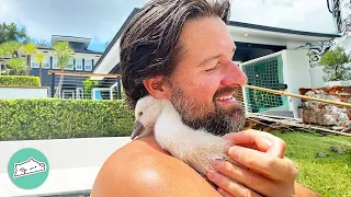 Sassy Swan Acts Like A Puppy After Mom Rejects Her | Cuddle Buddies