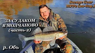 Обские Судаки. Север Томской области. Тяжёлый джиг. Злые поклёвки🎣🔥🔥🔥 (часть-2) Savage Gear MPP2