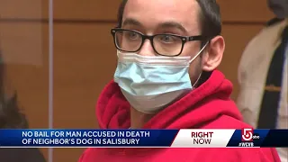 Man accused of shooting, strangling neighbor's dog