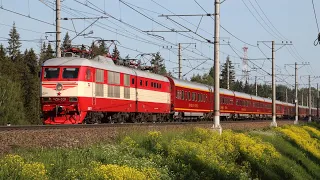 Trains on the St. Petersburg - Moscow railway. Russia. Moscow region. June 2023.