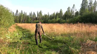 Perinteistä heinäntekoa. Niittämisestä seivästykseen.