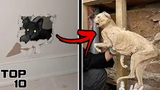 Top 10 Scary Things People Found Living In Walls