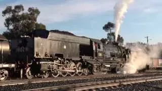 Australian Steam Trains: Beyer Garratt 6029 Winter Safari Shuttles Day 2 - [Part 3]