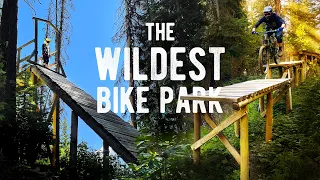 Pack your bike. Go to this bike park.