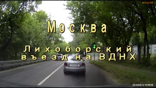 Утка с утятами переходят дорогу в Москве