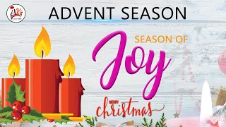 Season Of JOY Short Promo And WhatsApp Status "Happy Christmas"