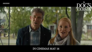 A Dog's Journey | IN CINEMAS MAY 16