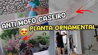 LIMPEI E ORGANIZEI A CASA INTEIRA + ANTI MOFO CASEIRO POR CASA LIMPA