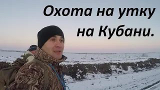 Охота на Кубани на утку.