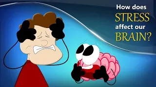 How does Stress affect our Brain? + more videos | #aumsum #kids #science #education #children